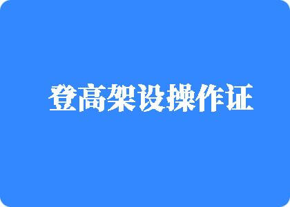 靠逼视频网站上登高架设操作证