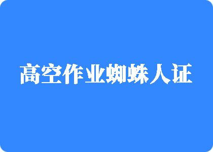 亚洲三级大鸡吧插b高空作业蜘蛛人证